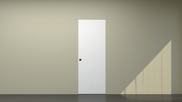 Дверь книжка на стену на скрытом коробе